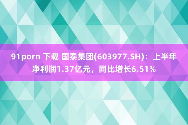 91porn 下载 国泰集团(603977.SH)：上半年净利润1.37亿元，同比增长6.51%