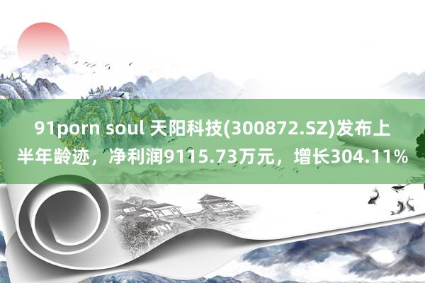 91porn soul 天阳科技(300872.SZ)发布上半年龄迹，净利润9115.73万元，增长304.11%