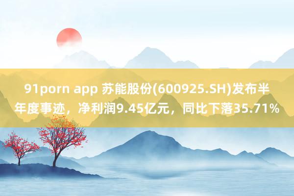 91porn app 苏能股份(600925.SH)发布半年度事迹，净利润9.45亿元，同比下落35.71%