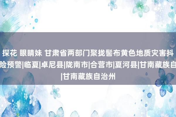 探花 眼睛妹 甘肃省两部门聚拢髻布黄色地质灾害抖擞风险预警|临夏|卓尼县|陇南市|合营市|夏河县|甘南藏族自治州